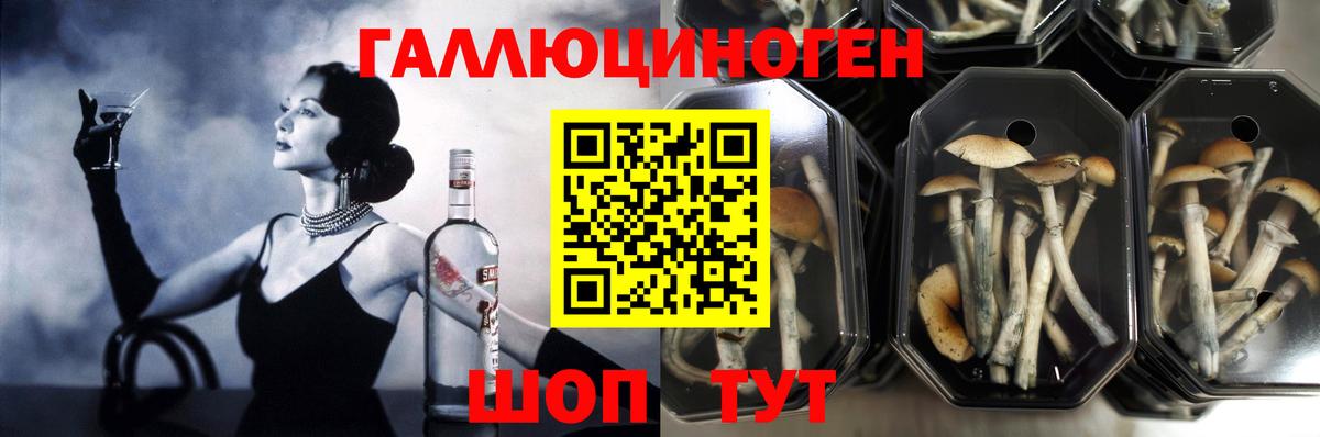 Галлюциногенные грибы ЛСД  Вход с VPN  хочу наркоту  Ярцево 